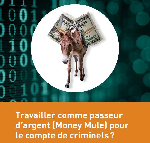 Money Mule Money Mule