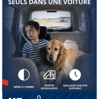 Coups de chaleur